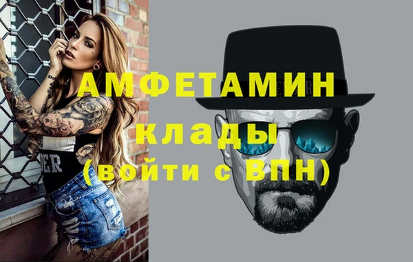 индика Михайловск