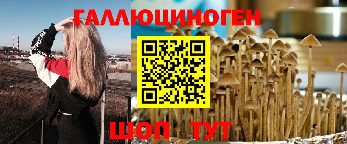 Галлюциногенные грибы GOLDEN TEACHER  Вход с VPN  Карталы  Галлюциногенные грибы мухоморы 